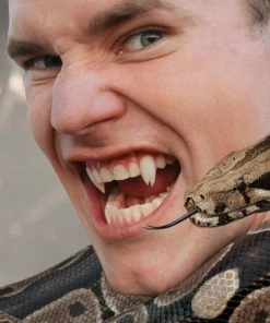 Teeth & Fangs Scarecrow Custom Viper Split Deluxe Vampire Fangs