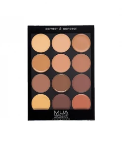 Masking & Concealment MUA Correct & Conceal Palette - Dark Cream Concealer