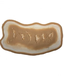 Prosthetics Monster FX Encapsulated Silicone Prosthetic - Large Shark Attack Bite Wound