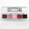 WRATH AA WRATH Alcohol Activated Make-up 5 Palette - Maturity