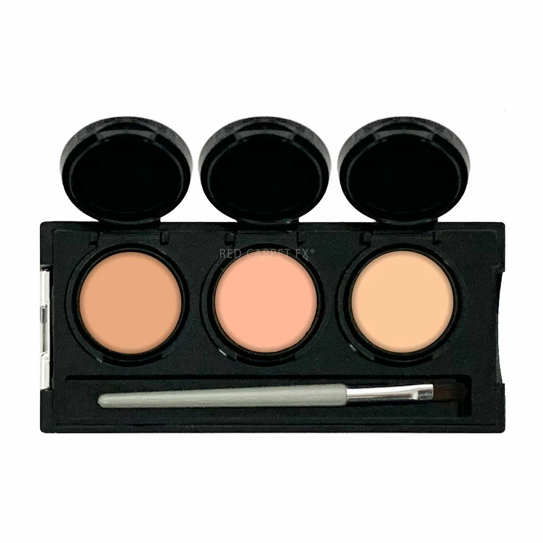 Dermaflage Tattoo & Discolouration Concealer Palette