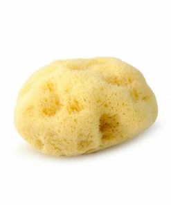 Mehron Professional Natural Sea Sponge Applicator