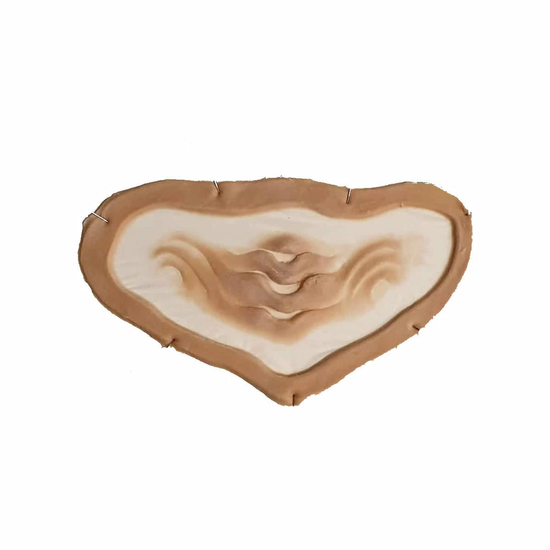 Monster FX Encapsulated Silicone Prosthetic - Mermaid Forehead Gills