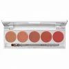 Kryolan Lip Colour 5 Palette - Cream Lipstick & Blusher - Nude