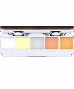 Dashbo Ultimate Special Edition 5 Colour Palette - The Silver Fox FX Colour Palettes