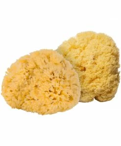 WRATH Natural Mini Sea Sponges - 2 Pack